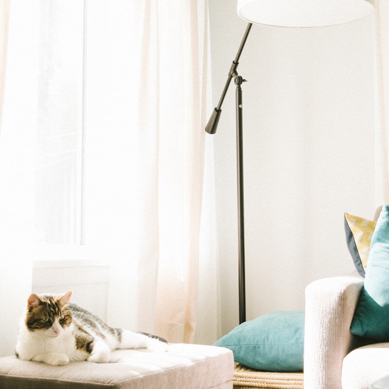 Sheers vs. Drapes: The Ultimate Showdown